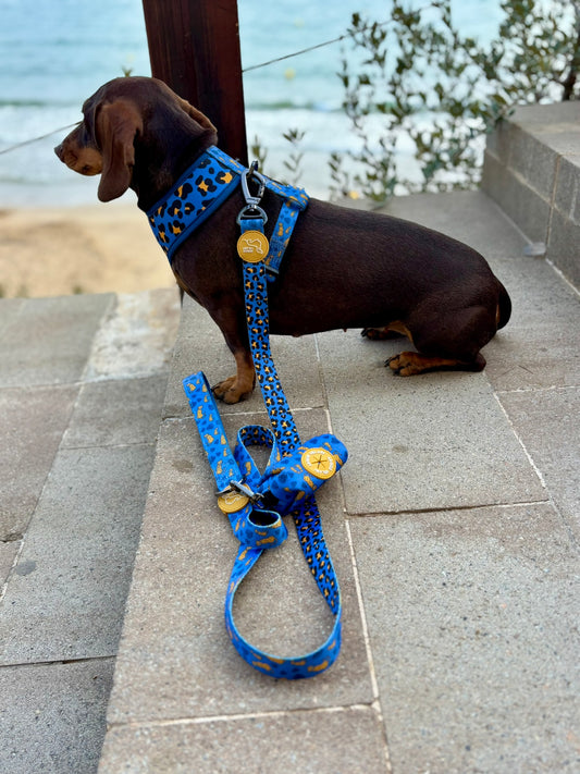 PORTA BOLSAS CACA LEOPARDO