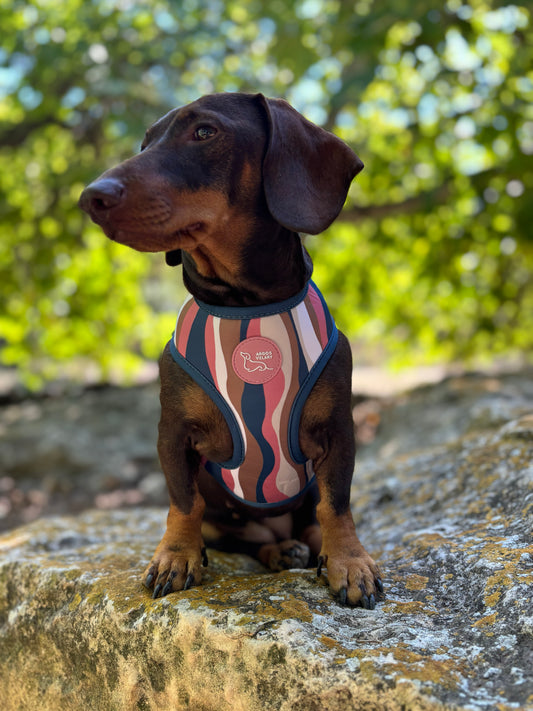 ARNÉS REVERSIBLE ZEBRA