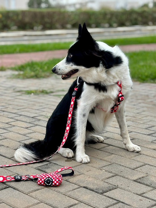 PORTA BOLSAS CACA TOPOS