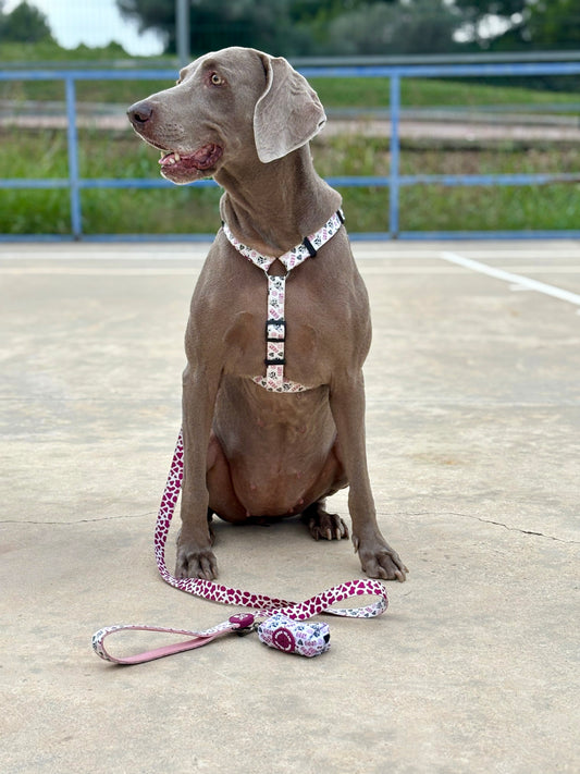 PORTA BOLSAS CACA VACA