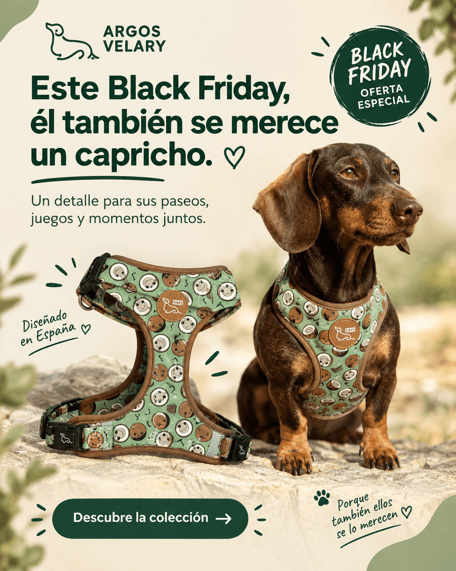 Ideas de regalos para perros en Black Friday: lo que de verdad usan - ARGOS VELARY