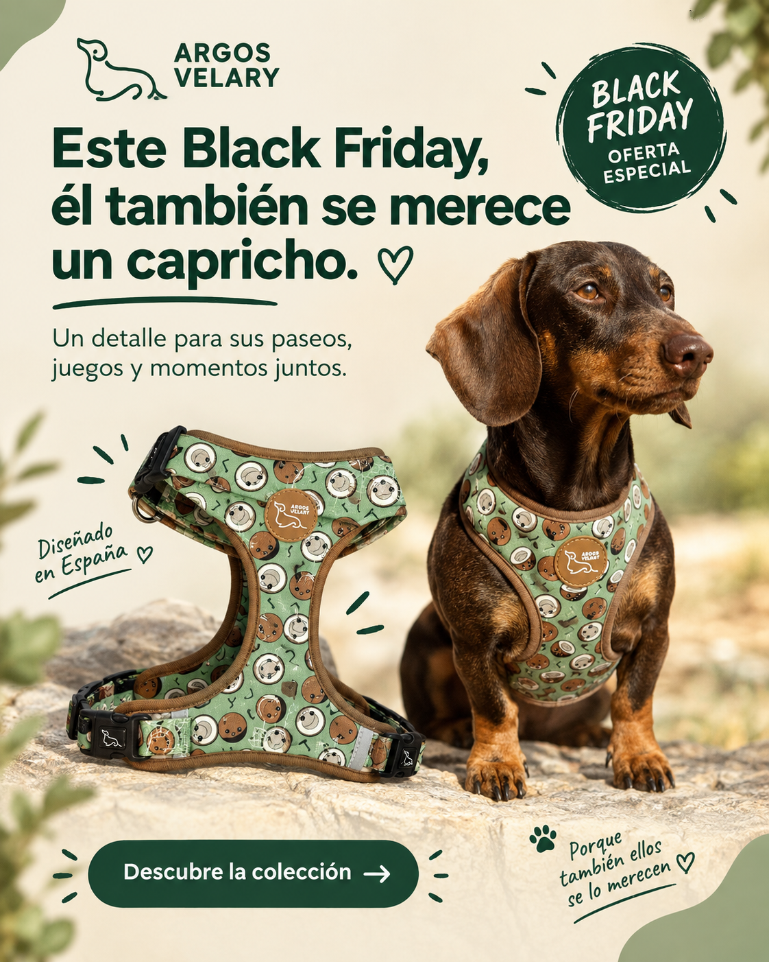 Ideas de regalos para perros en Black Friday: lo que de verdad usan