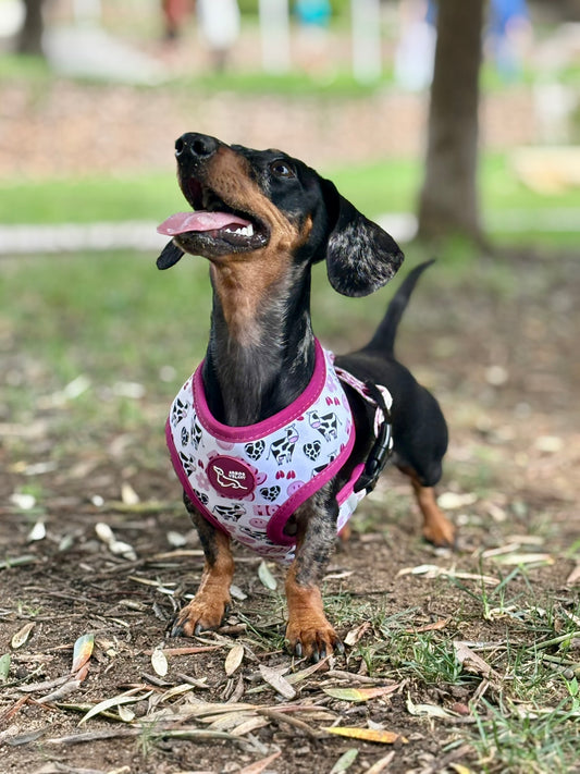 ARNÉS REVERSIBLE VACA