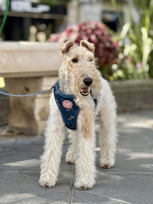 ARNÉS REVERSIBLE ZEBRA