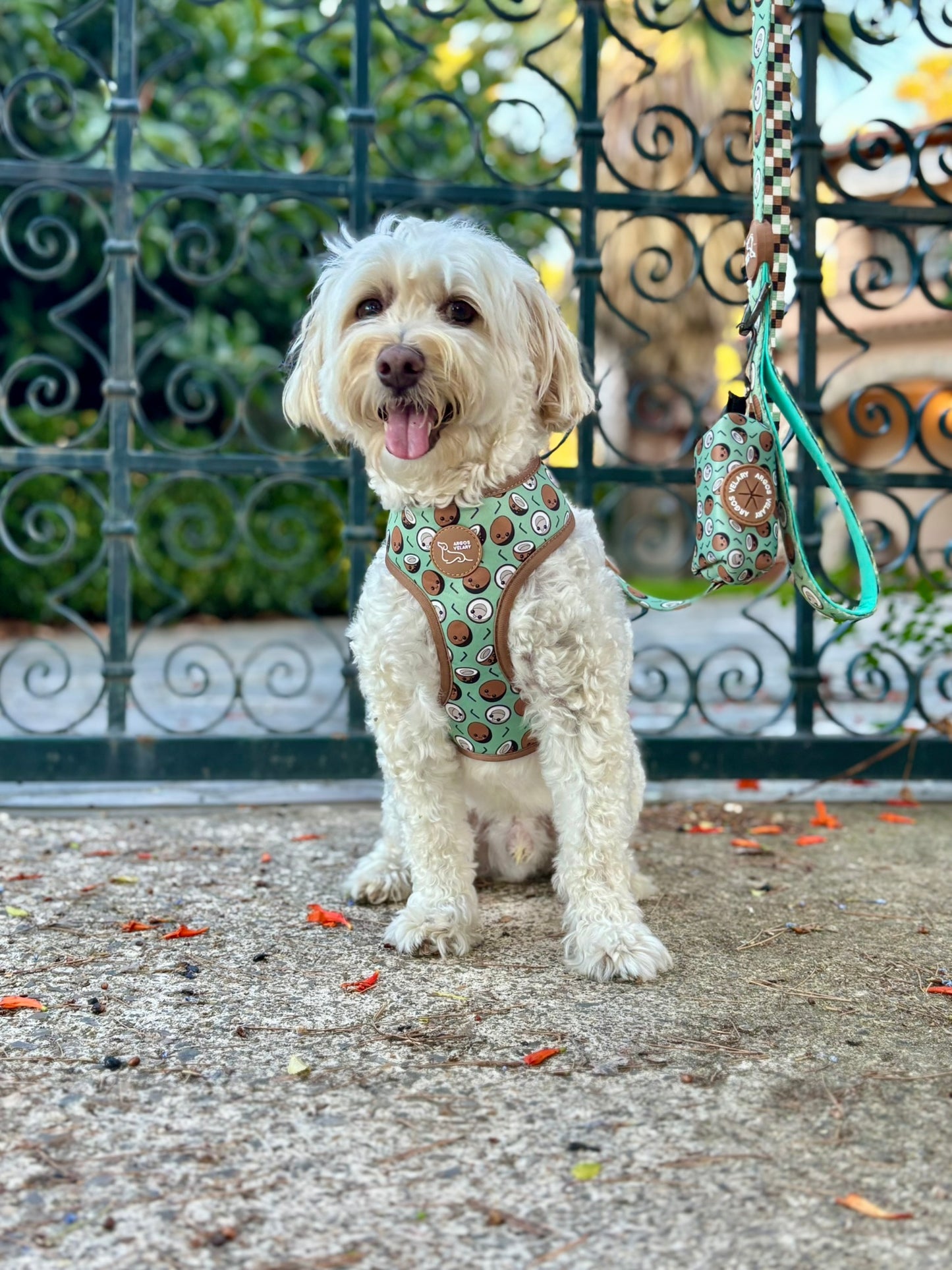 PORTA BOLSAS CACA COCO