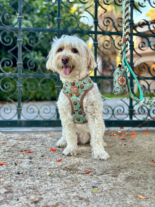 PORTA BOLSAS CACA COCO