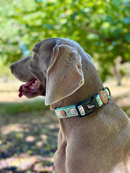 COLLAR COCO