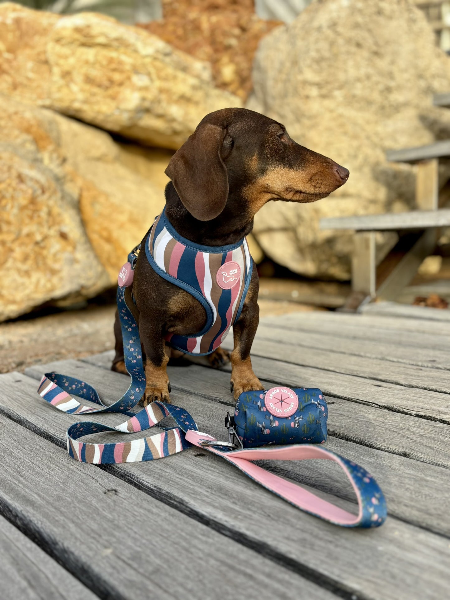 PORTA BOLSAS CACA ZEBRA