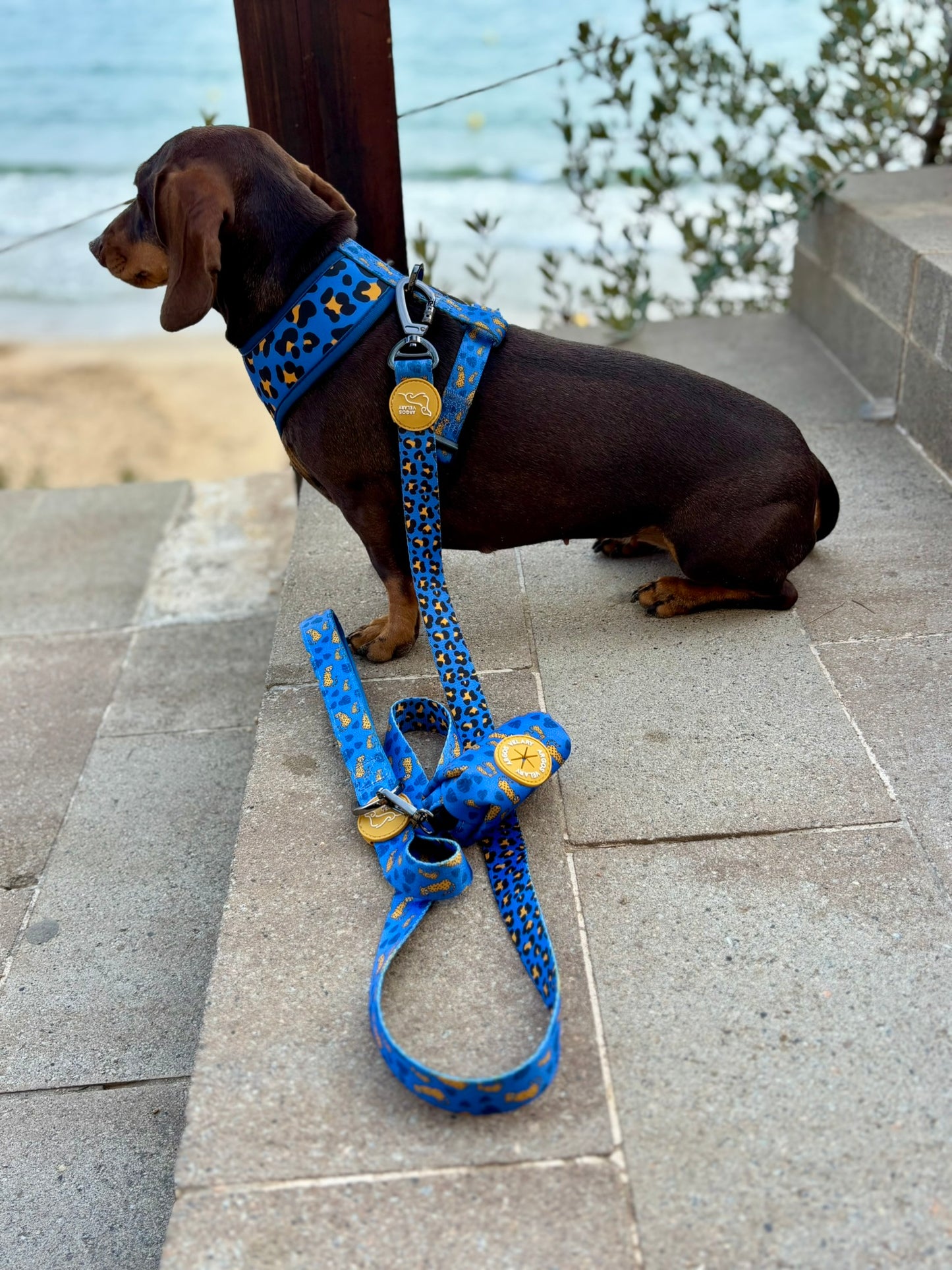 PORTA BOLSAS CACA LEOPARDO