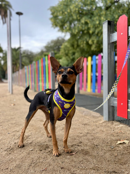 ARNÉS REVERSIBLE VESPA