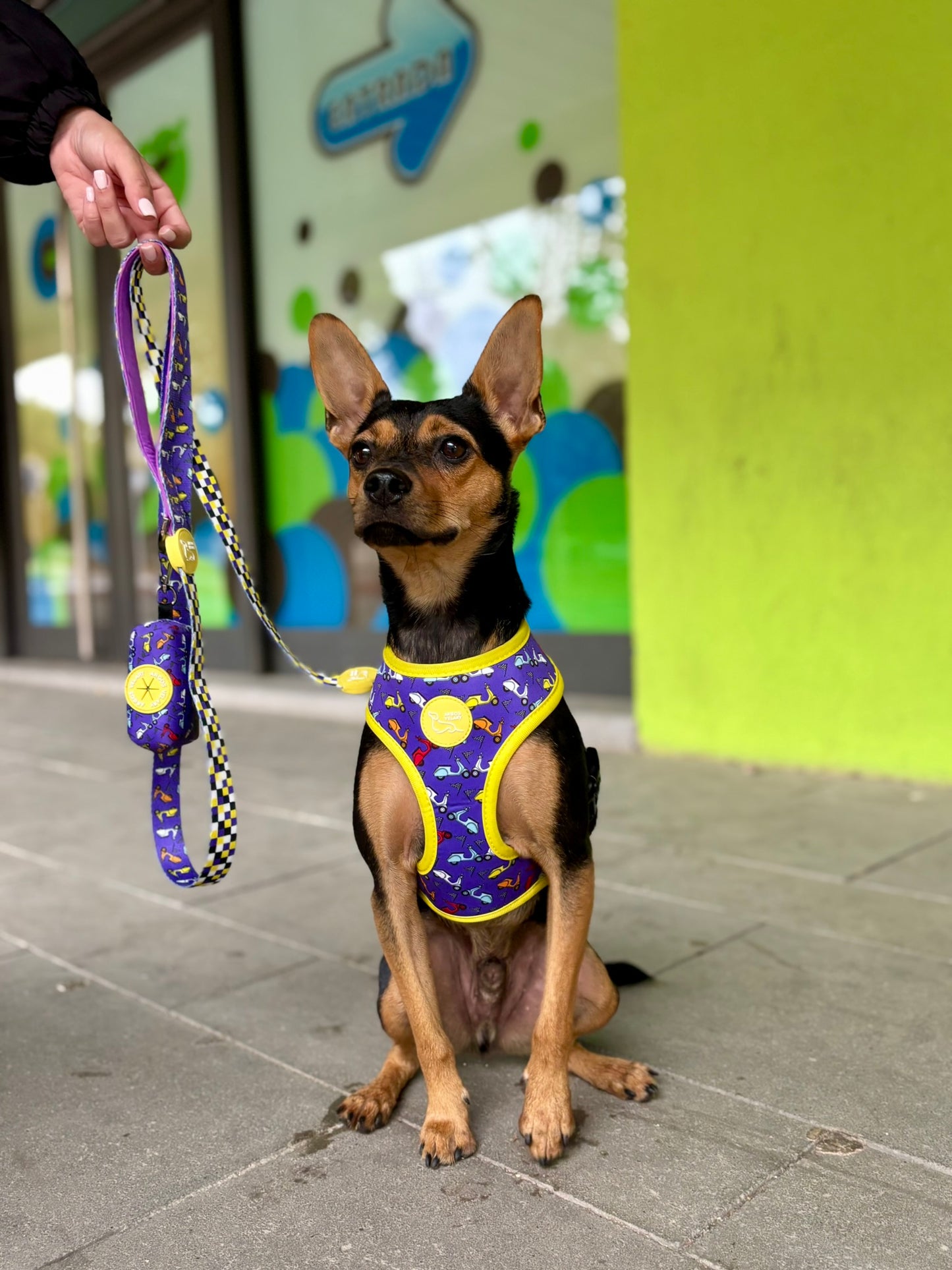 PORTA BOLSAS CACA VESPA