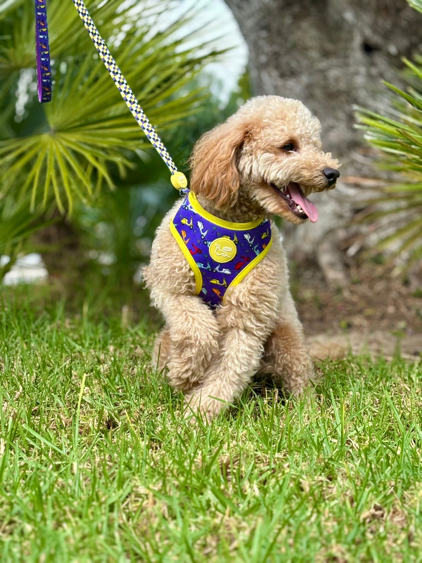 ARNÉS REVERSIBLE VESPA