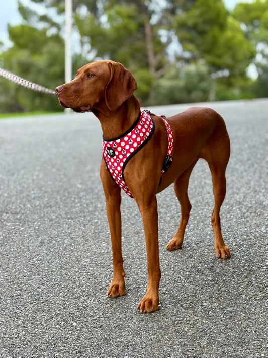 ARNÉS REVERSIBLE TOPOS