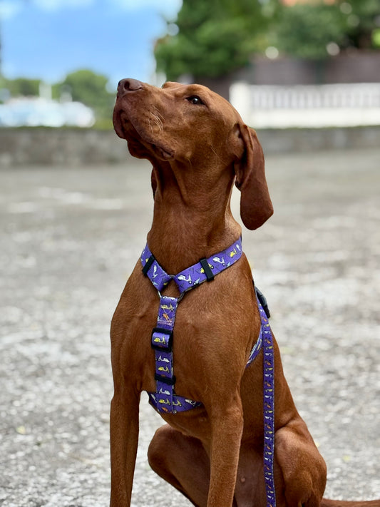 ARNÉS CLÁSICO H VESPA