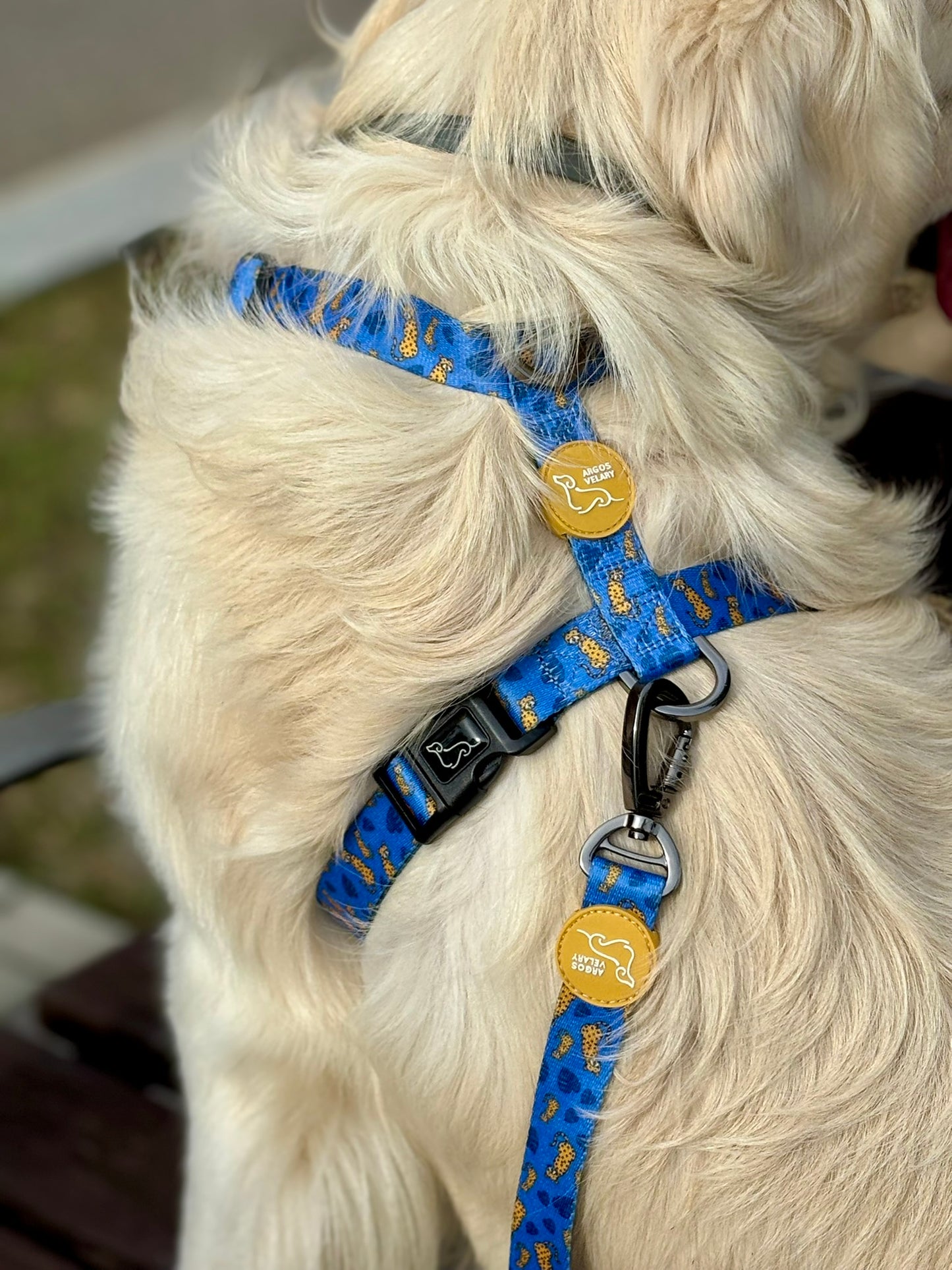 ARNÉS CLÁSICO H LEOPARDO