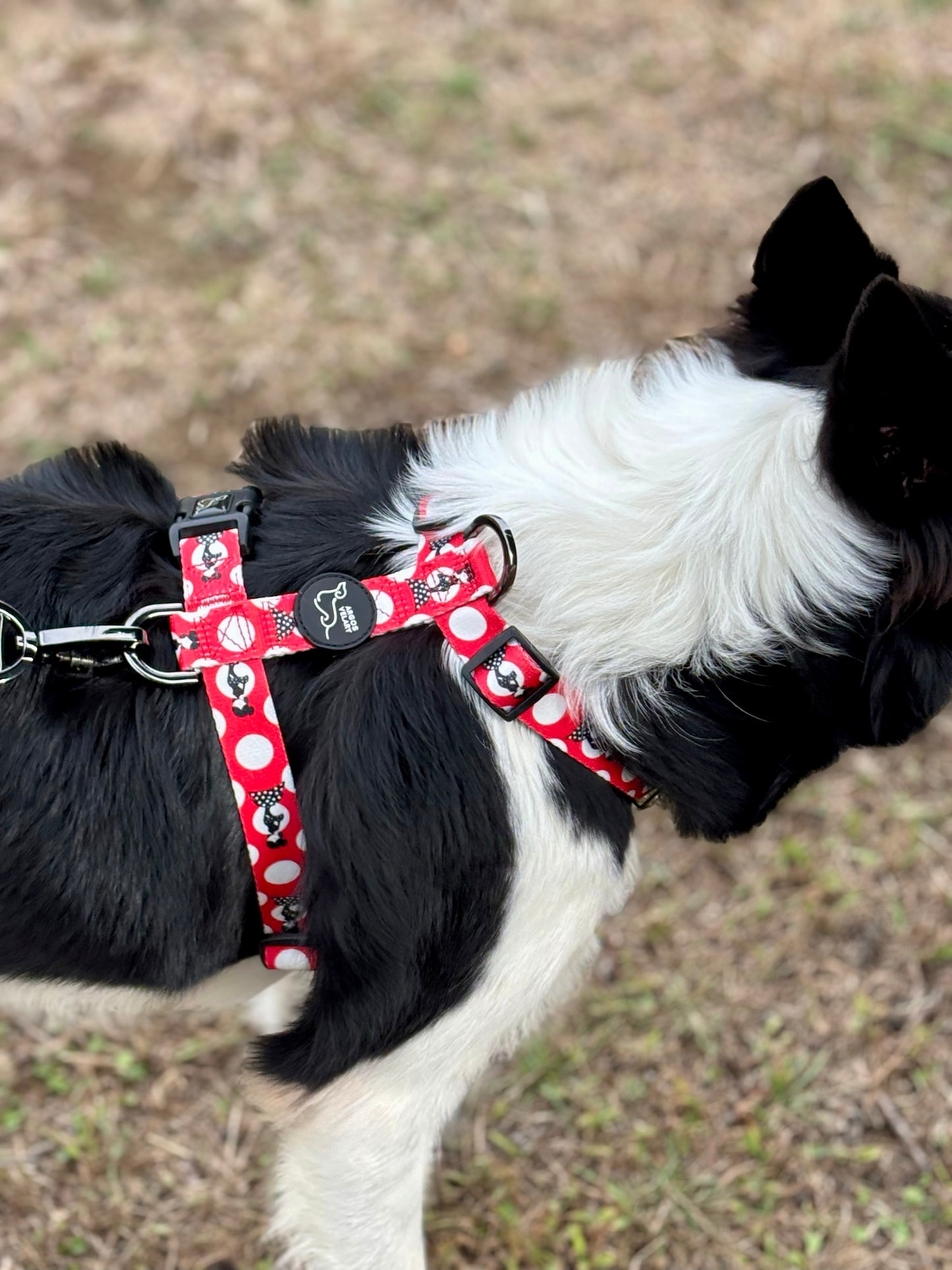 ARNÉS CLÁSICO H TOPOS